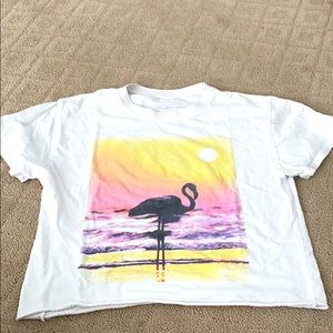 A cropped flamingo sunset shirt